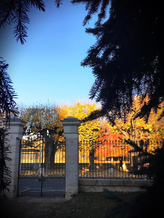Manoir 1838 A - 3 Km Du Zoo De Beauval & Proche Des Chateaux 상테뇽 외부 사진